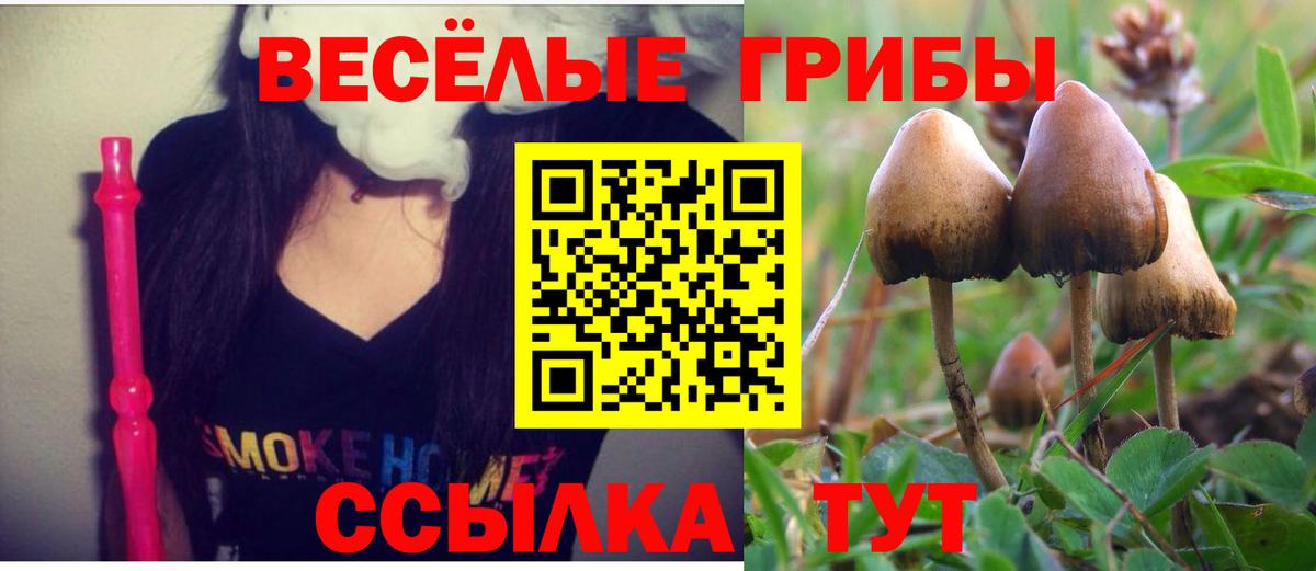 Псилоцибиновые грибы прущие грибы  Вход с VPN  наркошоп  Щёлково 